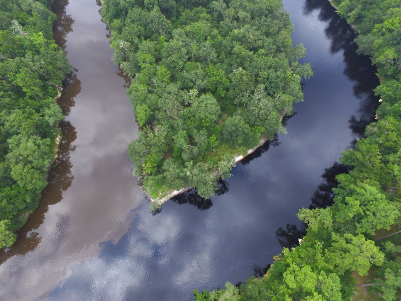 Explore the Suwannee River Florida State Parks